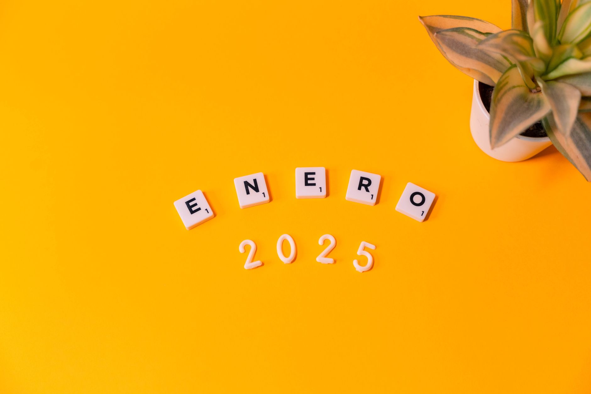 Les bons plans pour vos voyages en 2025