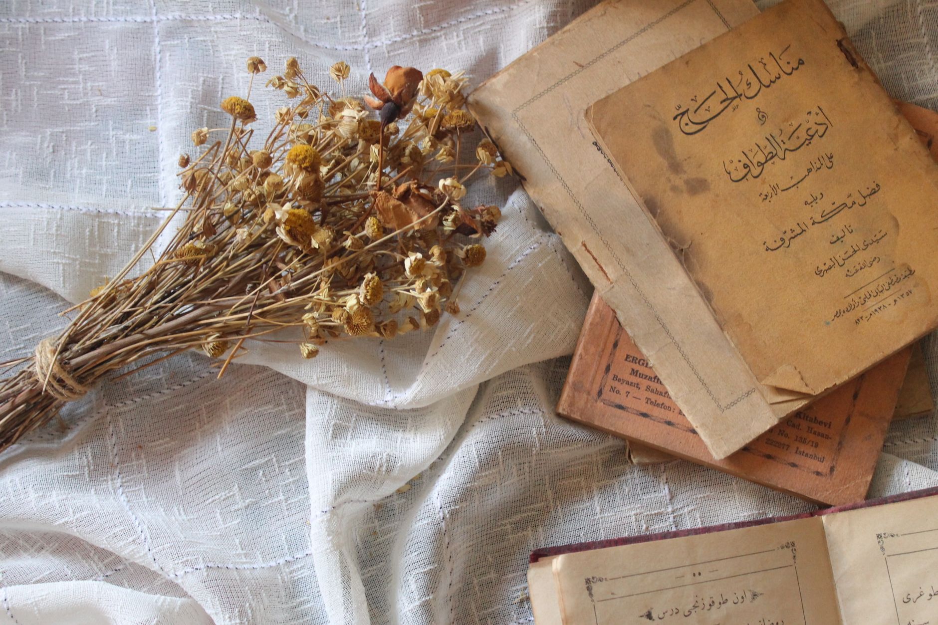 Histoire et collections de la Bibliotheca Alexandrina