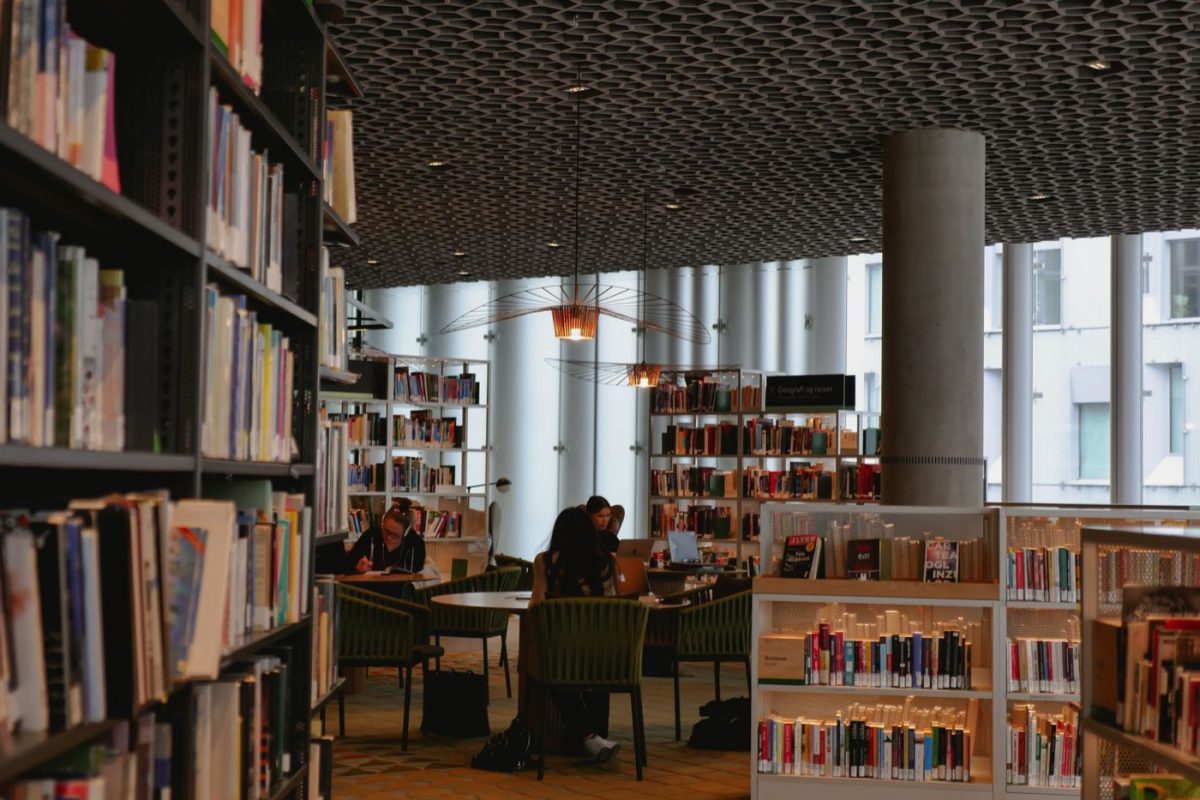 Visite guidée ou visite indépendante à la Bibliotheca Alexandrina