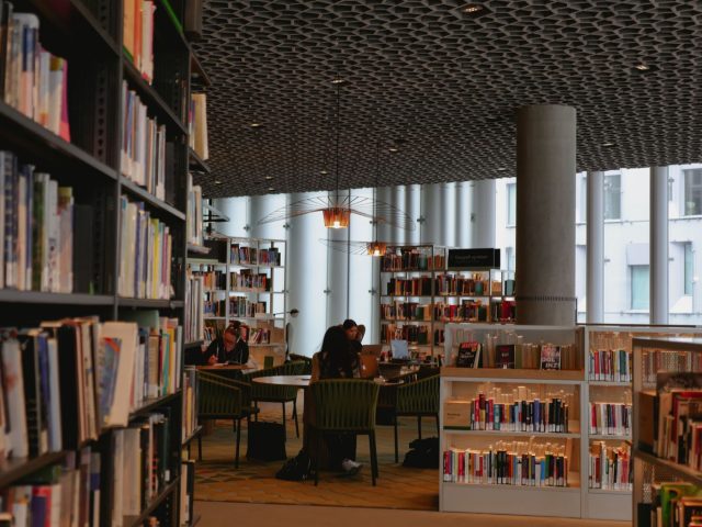 Visite guidée ou visite indépendante à la Bibliotheca Alexandrina
